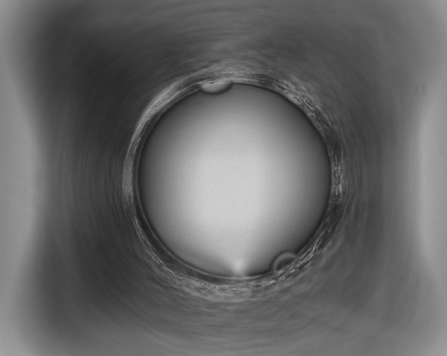 X0000116570004200912171513