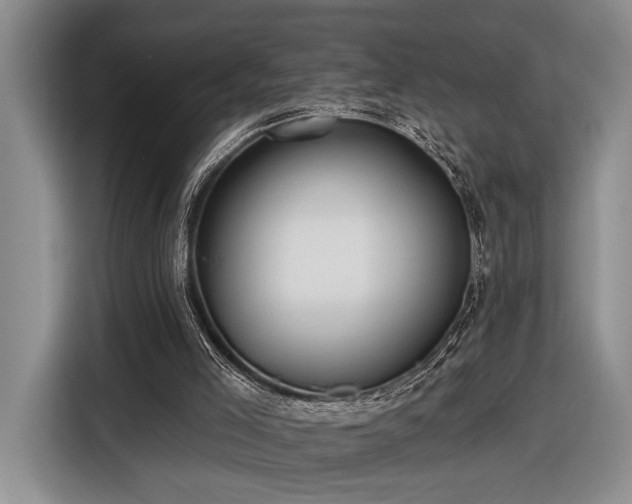 X0000116570005200912171513