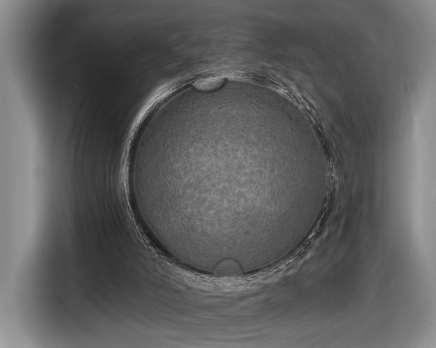 X0000116570006200912171513