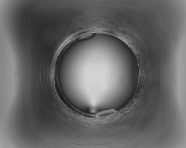 X0000116570007200912171513