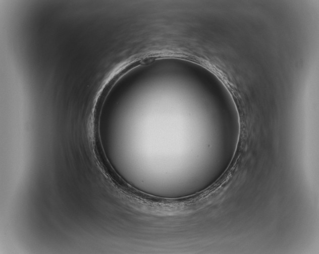 X0000116570008200912171513