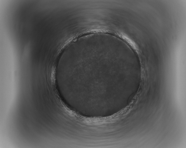 X0000116570009200912171513