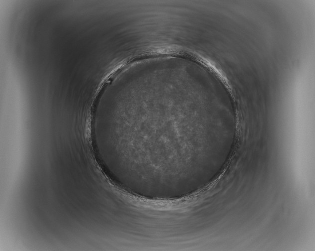 X0000116570010200912171513