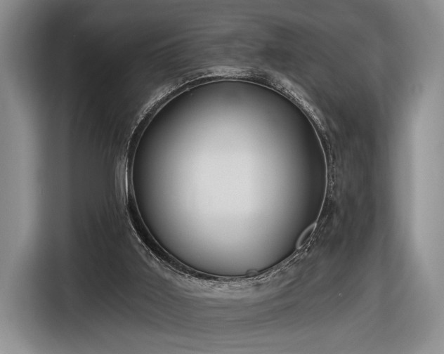 X0000116570011200912171513