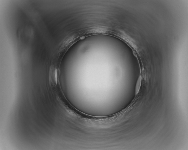 X0000116570013200912171513