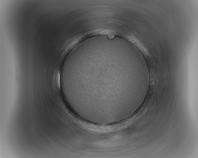 X0000116570014200912171513