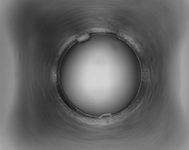 X0000116570015200912171513