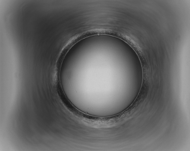 X0000116570016200912171513