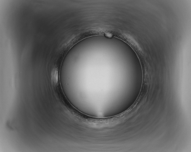 X0000116570021200912171513