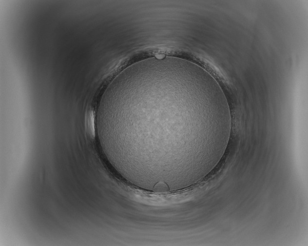 X0000116570022200912171513