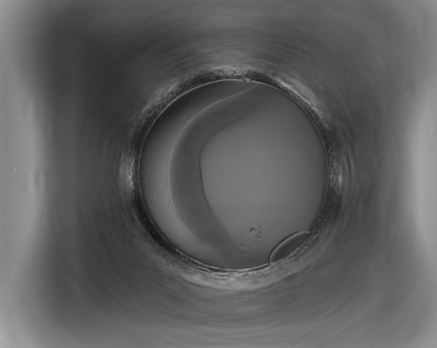 X0000116570023200912171513