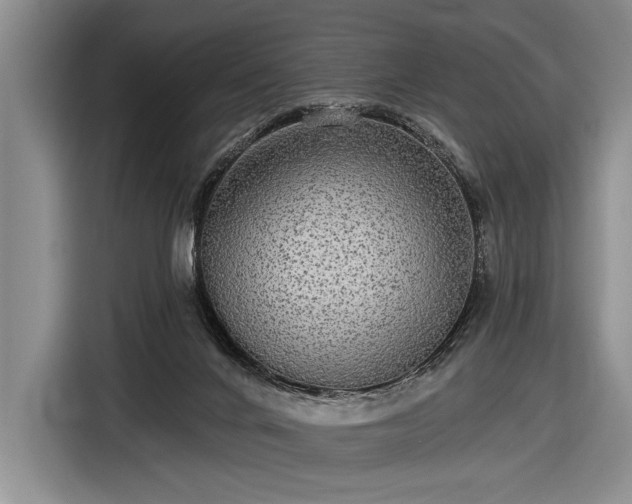 X0000116570024200912171513