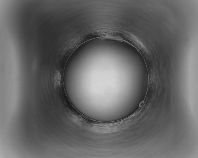 X0000116570025200912171513