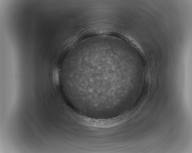 X0000116570026200912171513