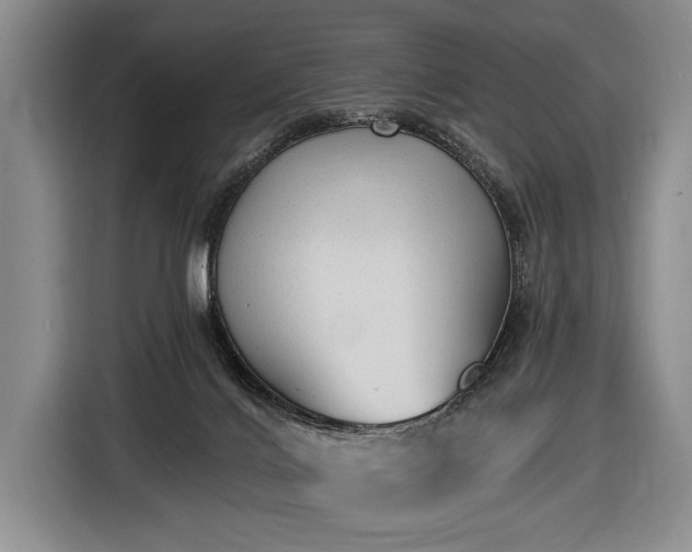 X0000116570028200912171513