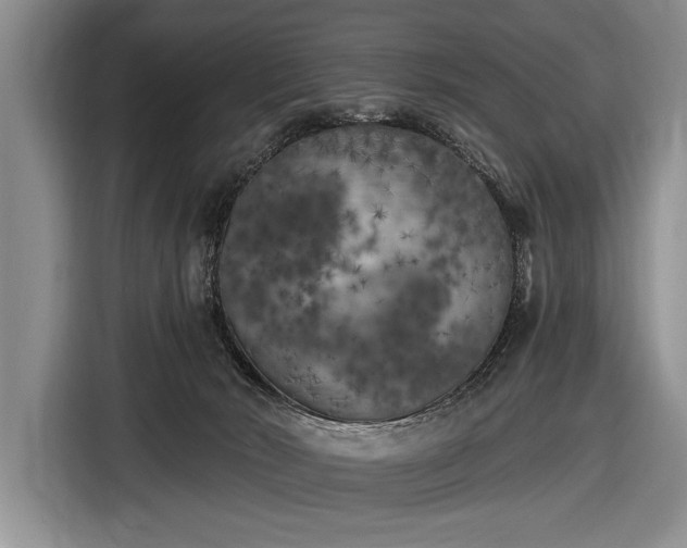 X0000116570030200912171513