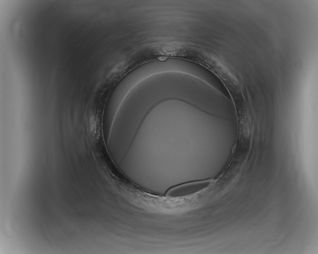 X0000116570031200912171513