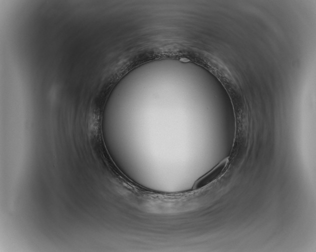 X0000116570033200912171513