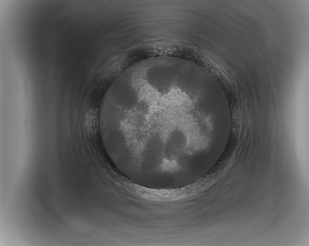 X0000116570034200912171513