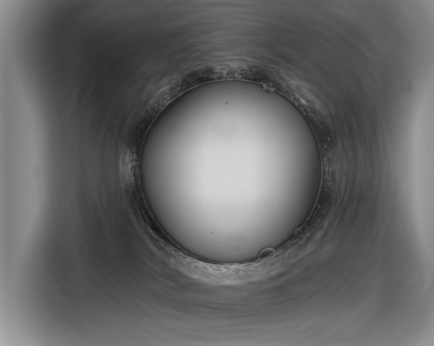 X0000116570038200912171512