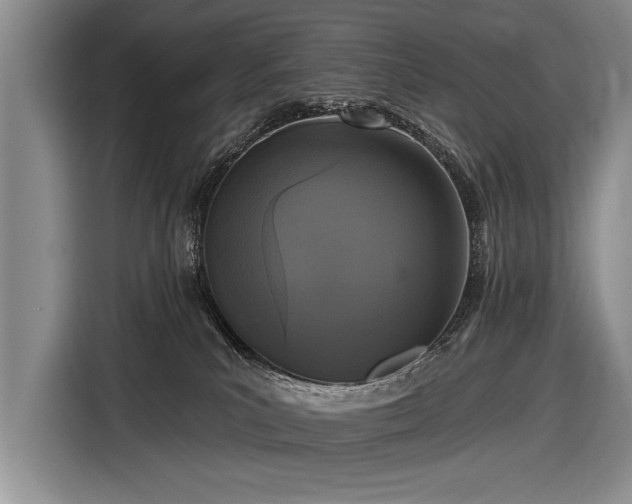 X0000116570039200912171512