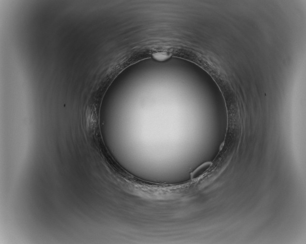 X0000116570040200912171512