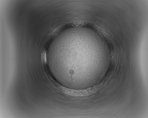 X0000116570042200912171512