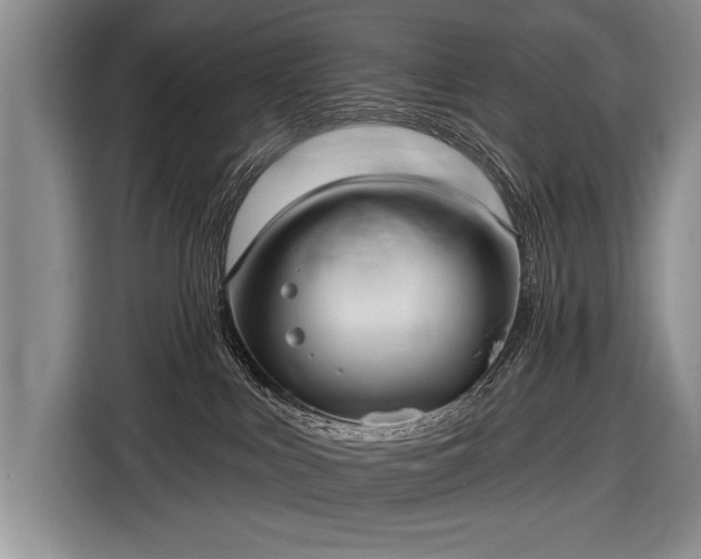 X0000116570043200912171512