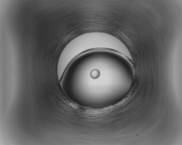 X0000116570045200912171512