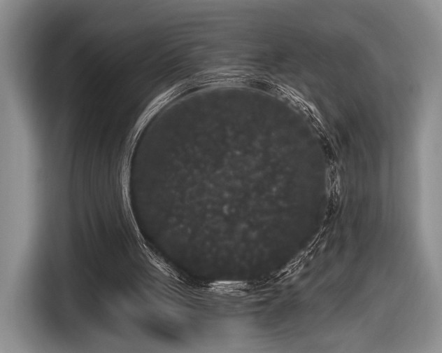 X0000116570051200912171512