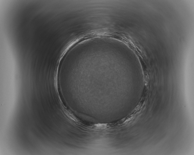 X0000116570052200912171512