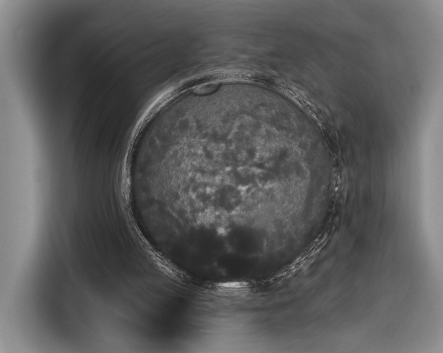 X0000116570053200912171512