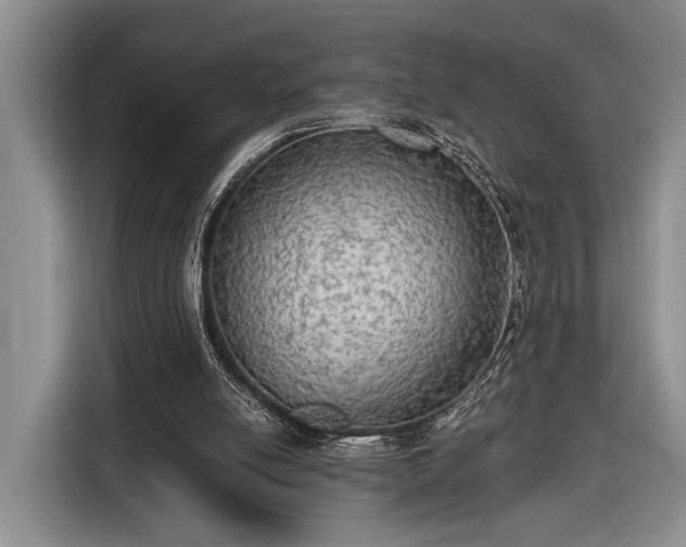 X0000116570054200912171512