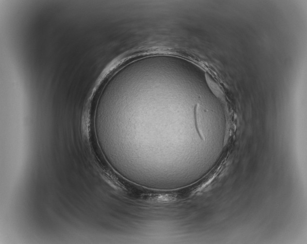 X0000116570056200912171512