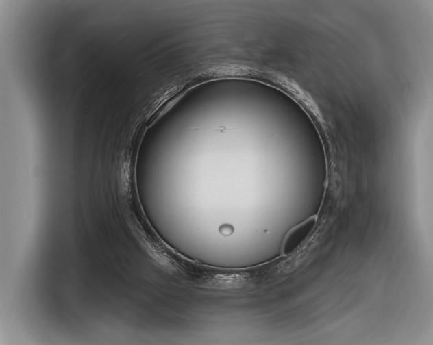 X0000116570057200912171512