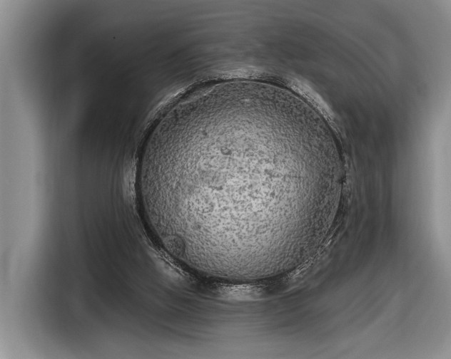 X0000116570058200912171512