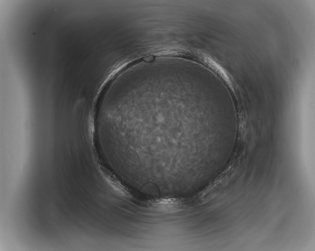 X0000116570059200912171512