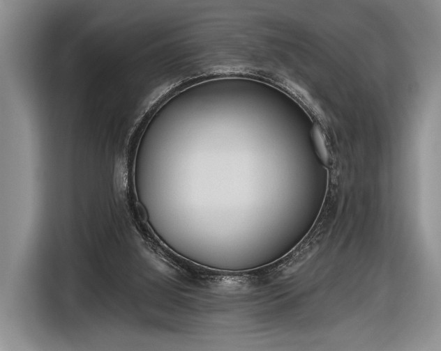 X0000116570060200912171512