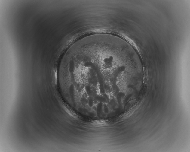 X0000116570061200912171512