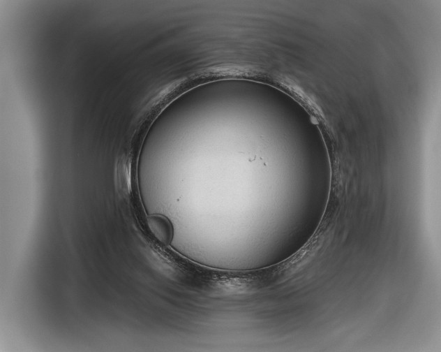 X0000116570062200912171512