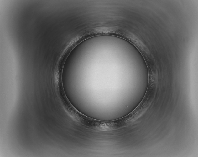 X0000116570064200912171512