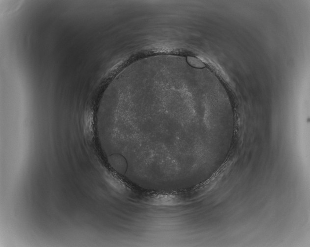 X0000116570066200912171512