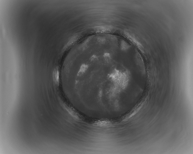 X0000116570067200912171512