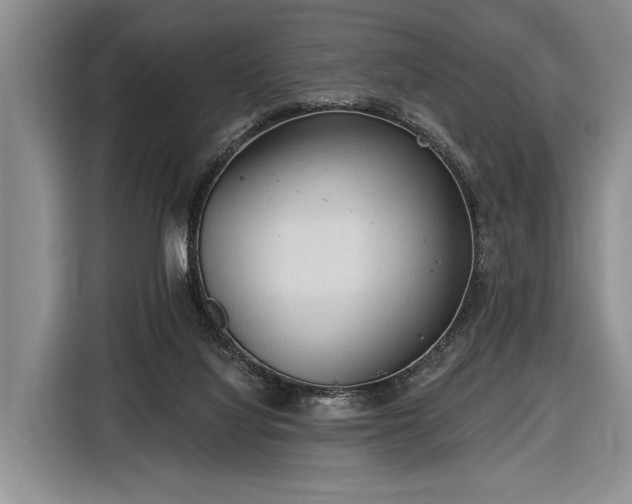 X0000116570068200912171512