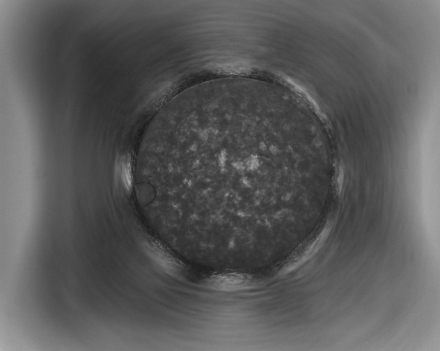 X0000116570069200912171512