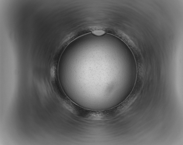 X0000116570071200912171512