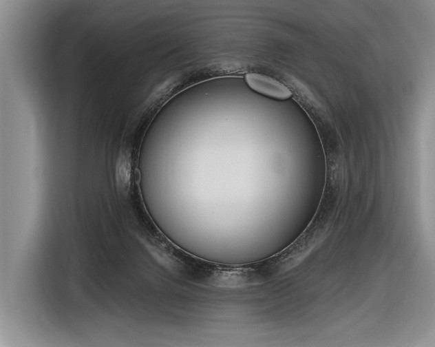 X0000116570072200912171512