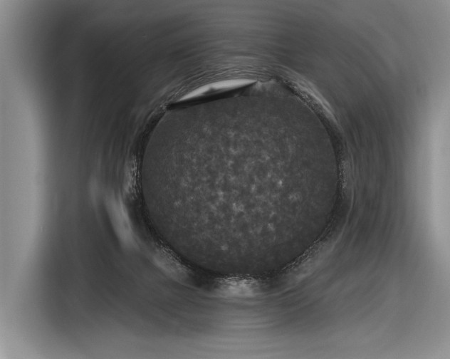 X0000116570073200912171512