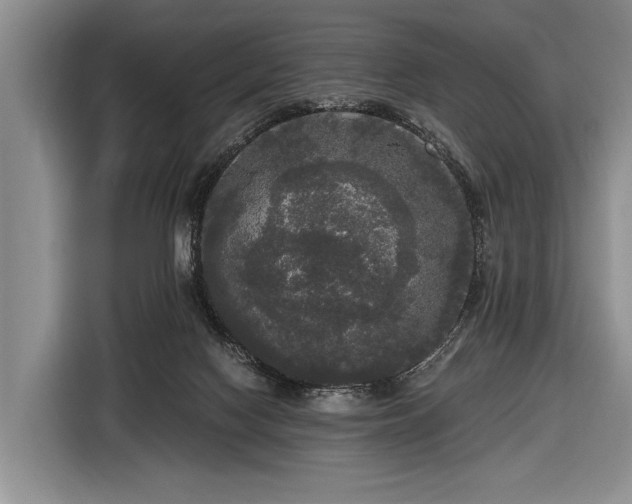 X0000116570074200912171512