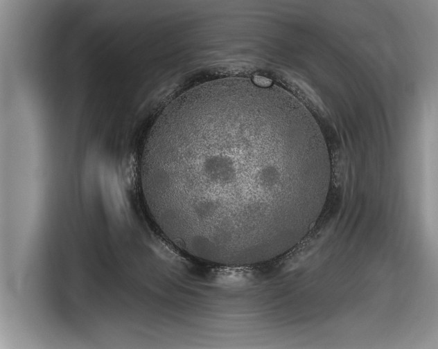 X0000116570077200912171512